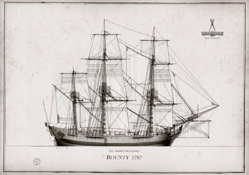 1787 HM Armed Transport Bounty pen ink study